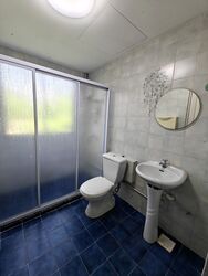Peakview Estate (D16), Apartment #543420331